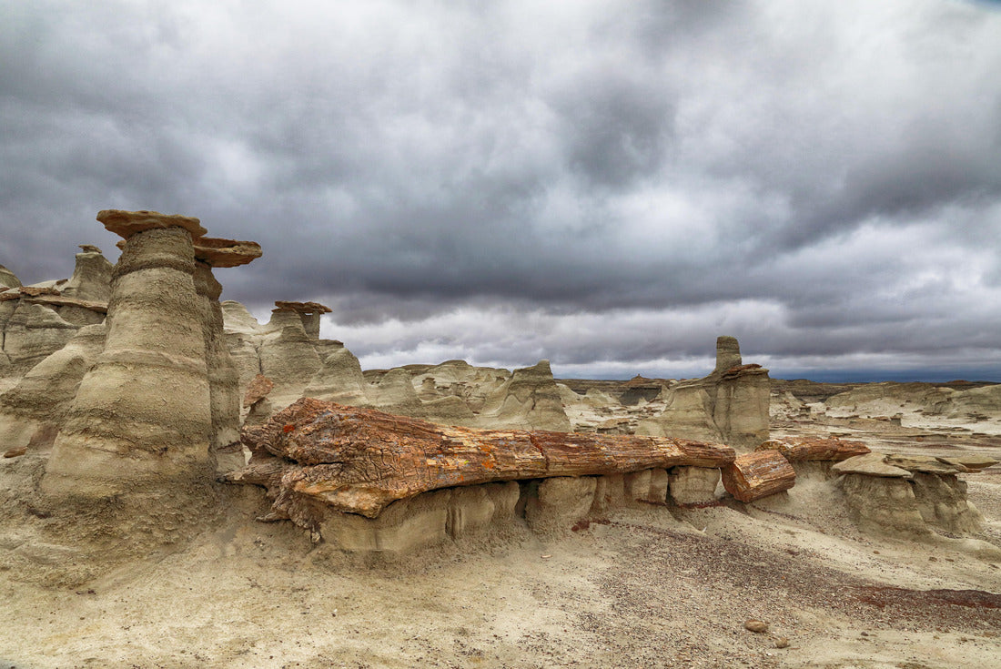 Noah Jigsaw Puzzle Bisti badlands ,petrified wood, New Mexico, USA 2000 pieces