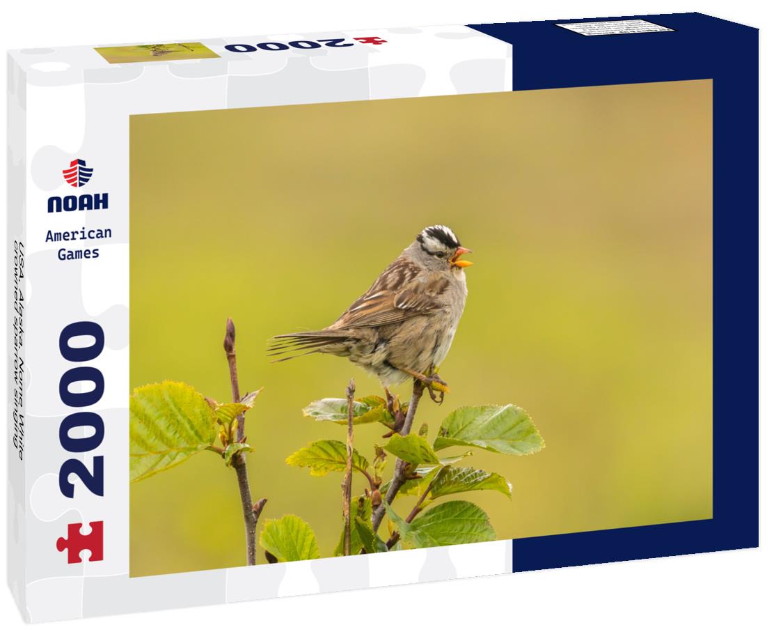 USA, Alaska, Nome White-crowned sparrow singing 2000pc Puzzle