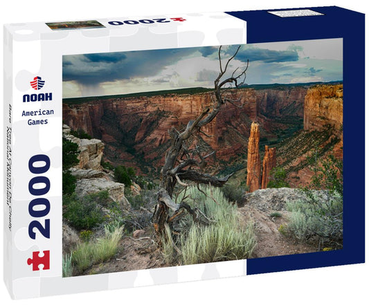 Noah Jigsaw Puzzle Bare Tree At Canyon De Chelly National Monument 2000 pieces