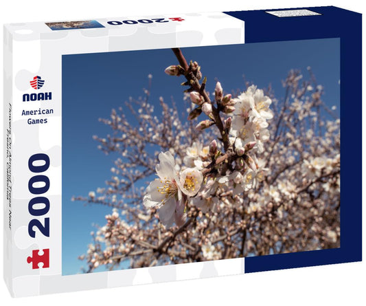 Noah Jigsaw Puzzle Flowers On Almond Trees Near Fresno, California 2000 pieces