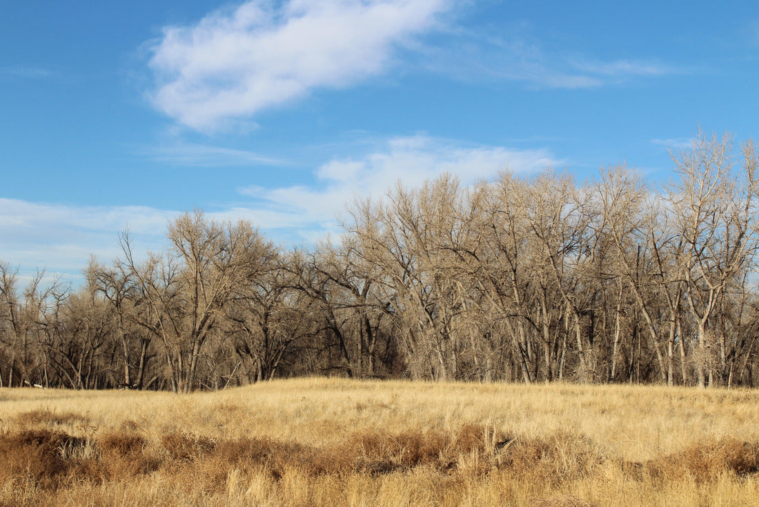 Noah Jigsaw Puzzle Rocky Mountain Arsenal National Wildlife Refuge 2000 pieces