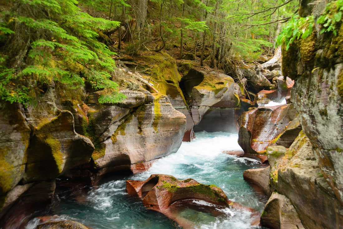 Noah Jigsaw Puzzle Avalanche Gorge, Glacier national park, Montana 2000 pieces