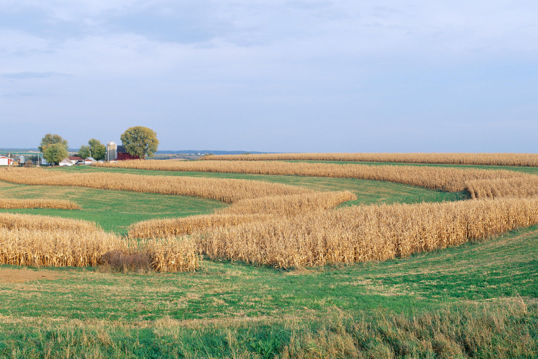 Noah Jigsaw Puzzle Rolling Farm Fields, North of Dubuque, Iowa USA 2000 pieces
