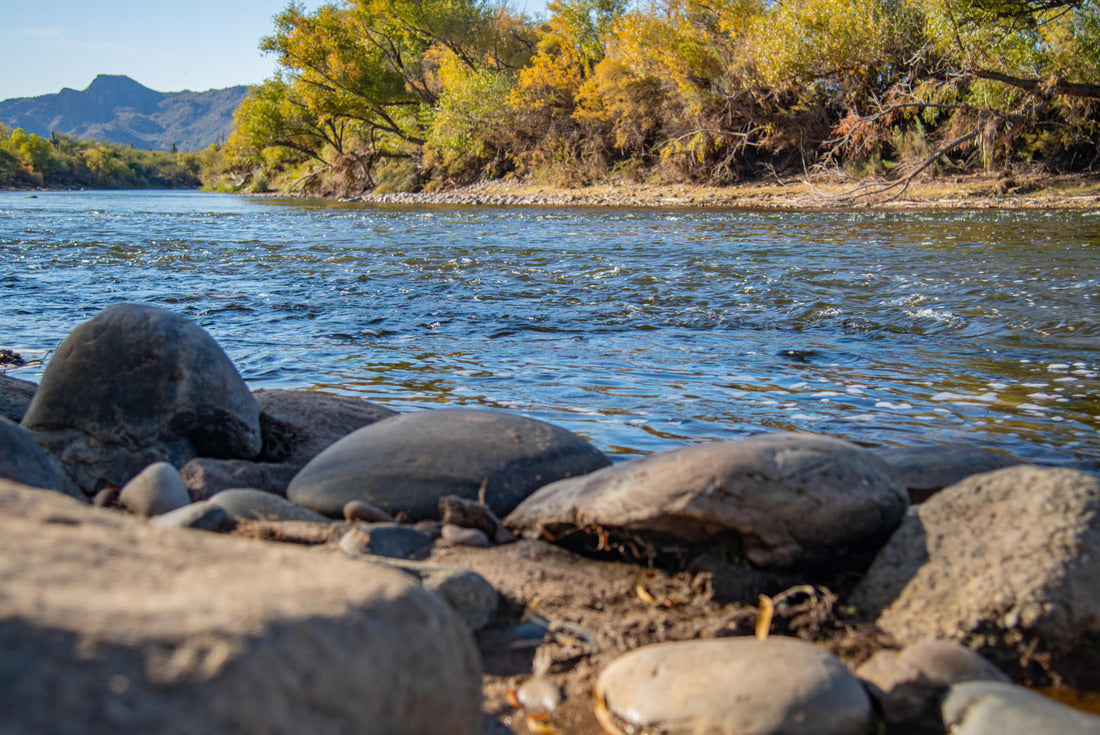 fall colors on the salt river near mesa Arizona 2000pc Puzzle