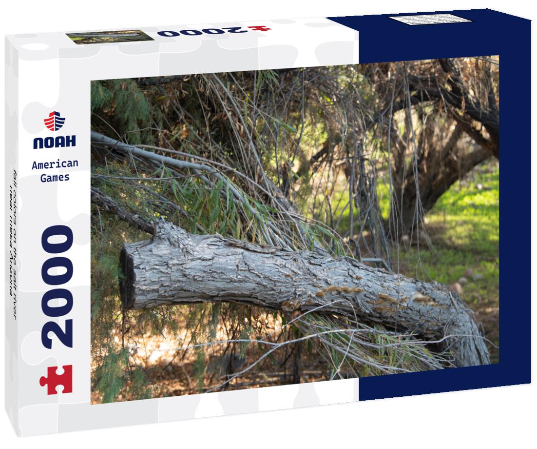 Noah Jigsaw Puzzle fall colors on the salt river near mesa Arizona 2000 pieces