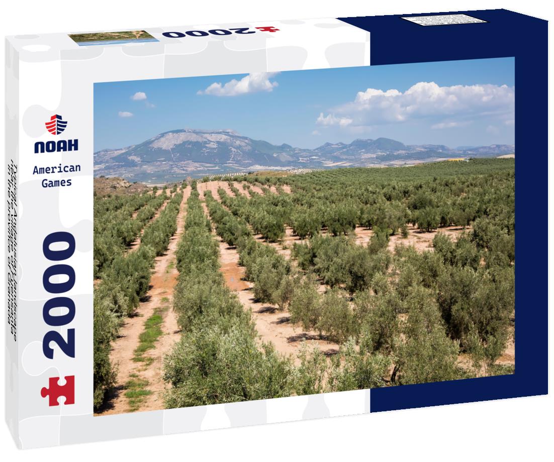 Typical Andalusian landscape near the village of Fuensanta in the province of Granada 2000pc Puzzle