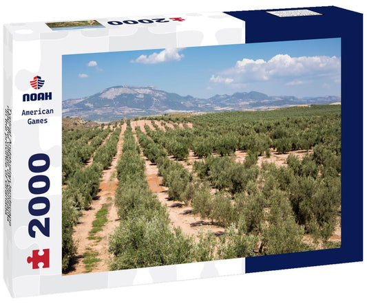 Noah Jigsaw Puzzle Typical Andalusian landscape near the village of Fuensanta in the province of Granada 2000 Pieces