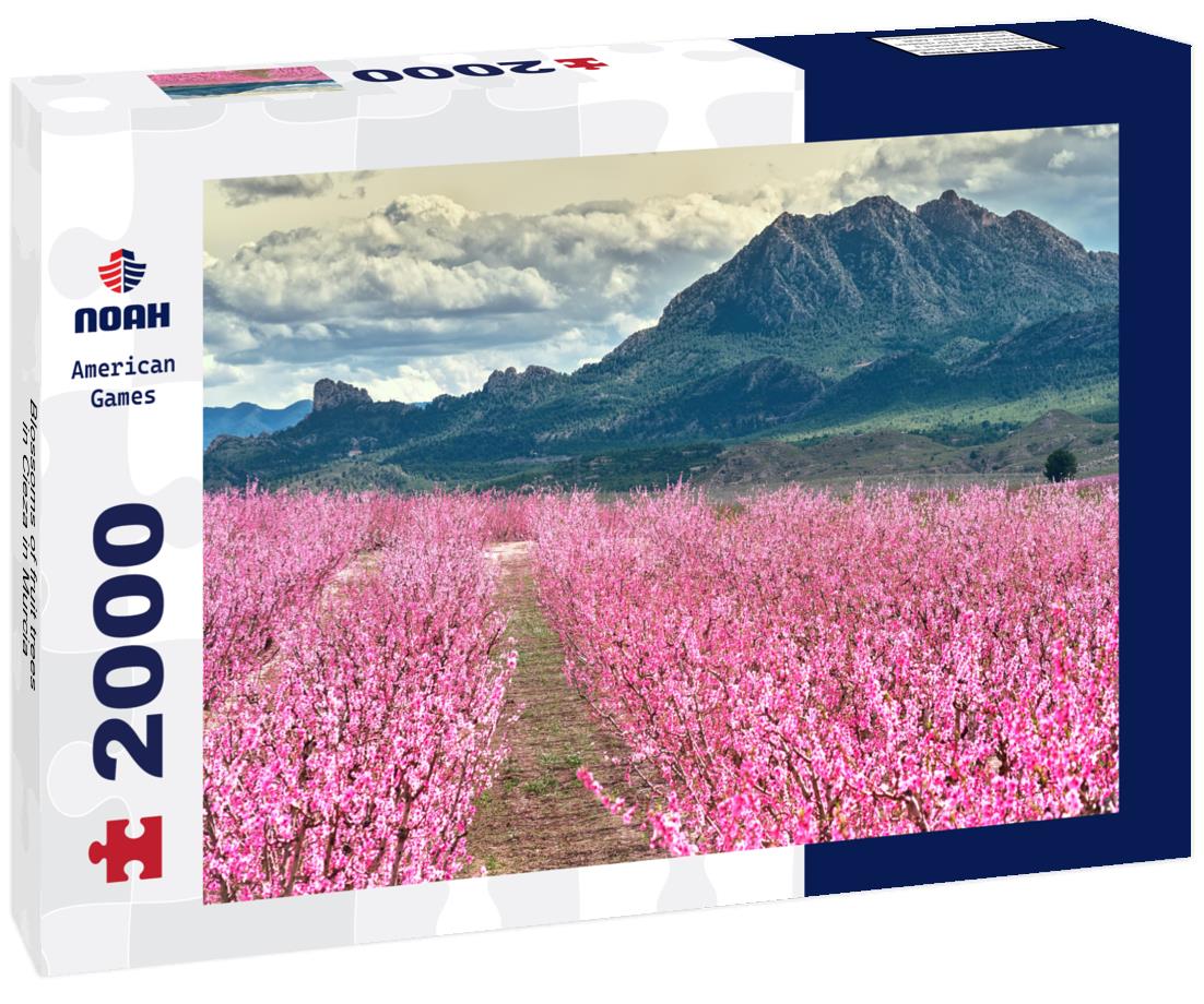 Noah Jigsaw Puzzle Blossoms of fruit trees in Cieza in Murcia 2000 Pieces