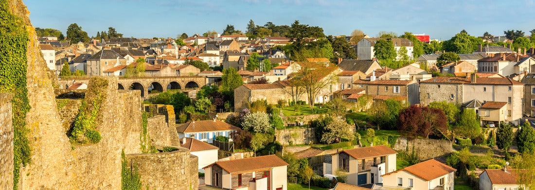 Noah Jigsaw Puzzle Bressuire, France Panorama 1000 Pieces