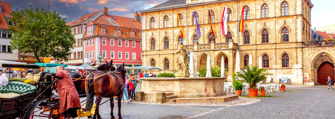 Noah Jigsaw Puzzle Houses in the town of Rehovot in central Israel Panorama 1000 Pieces