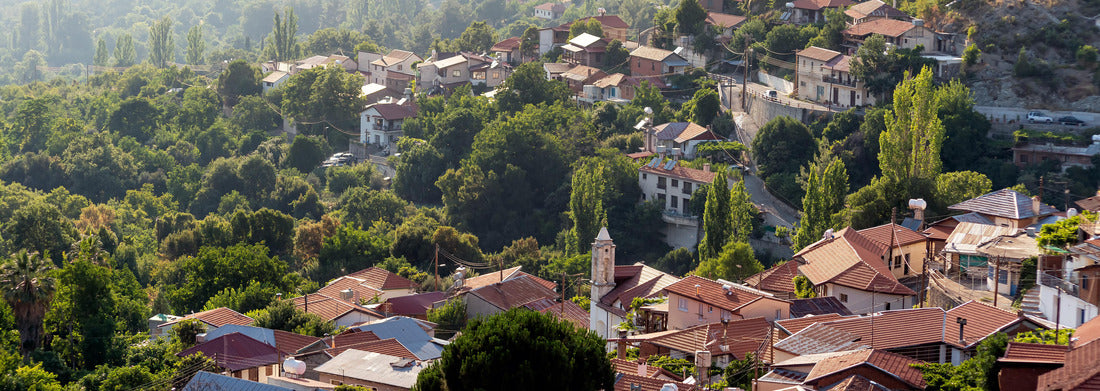 Noah Jigsaw Puzzle View of the lush forest around Mount Olympus, Cyprus Panorama 1000 Pieces