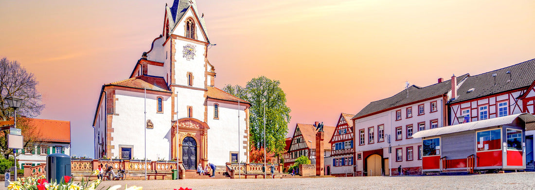 Noah Jigsaw Puzzle Vollrads Castle, Geisenheim, Germany Panorama 1000 Pieces