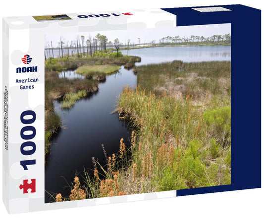 Noah Jigsaw Puzzle Bon Secour National Wildlife Refuge in Gulf Shores, Alabama 1000 Pieces