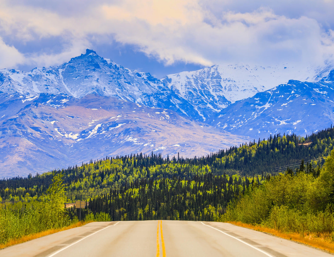 Noah Jigsaw Puzzle Driving on the George Parks Highway near Denali National Park and Preserve in Alaska. The Alaska Range with clouds and forest is visible in the background 1000 Pieces