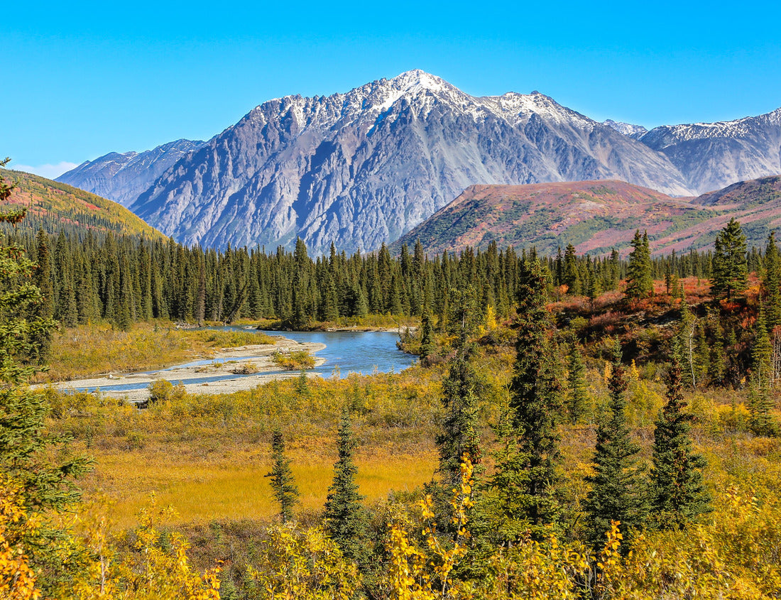 Noah Jigsaw Puzzle Landscape with snow-capped mountains in Denali National Park, Alaska 1000 Pieces