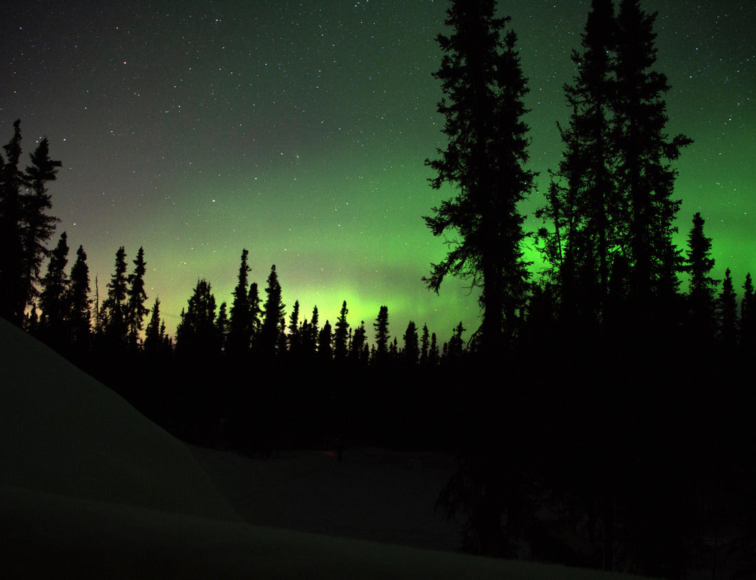 Noah Jigsaw Puzzle Aurora Borealis in North Star Borough of Fairbanks, Alaska - Harding Lake, Salcha 1000 Pieces