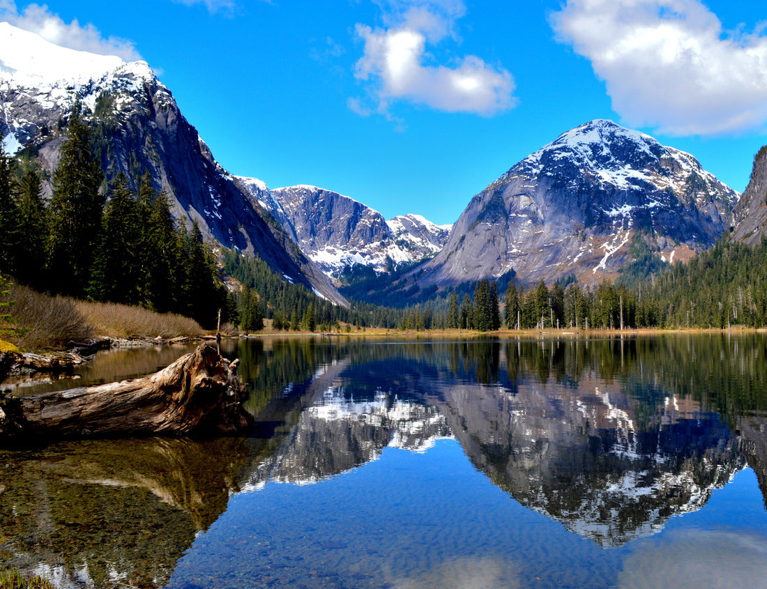 Noah Jigsaw Puzzle Nooya Lake in Misty Fjords National Monument 1000 Pieces