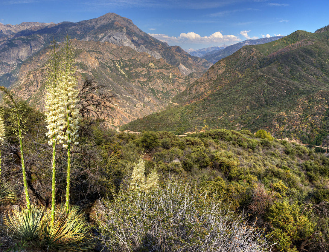 Noah Jigsaw Puzzle Scenic view of Kings Canyon National Park, California, USA 1000 Pieces