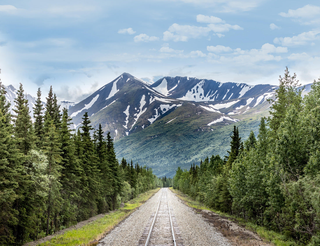 Noah Jigsaw Puzzle Mountain bike and rail trail in Denali National Park, Alaska 1000 Pieces