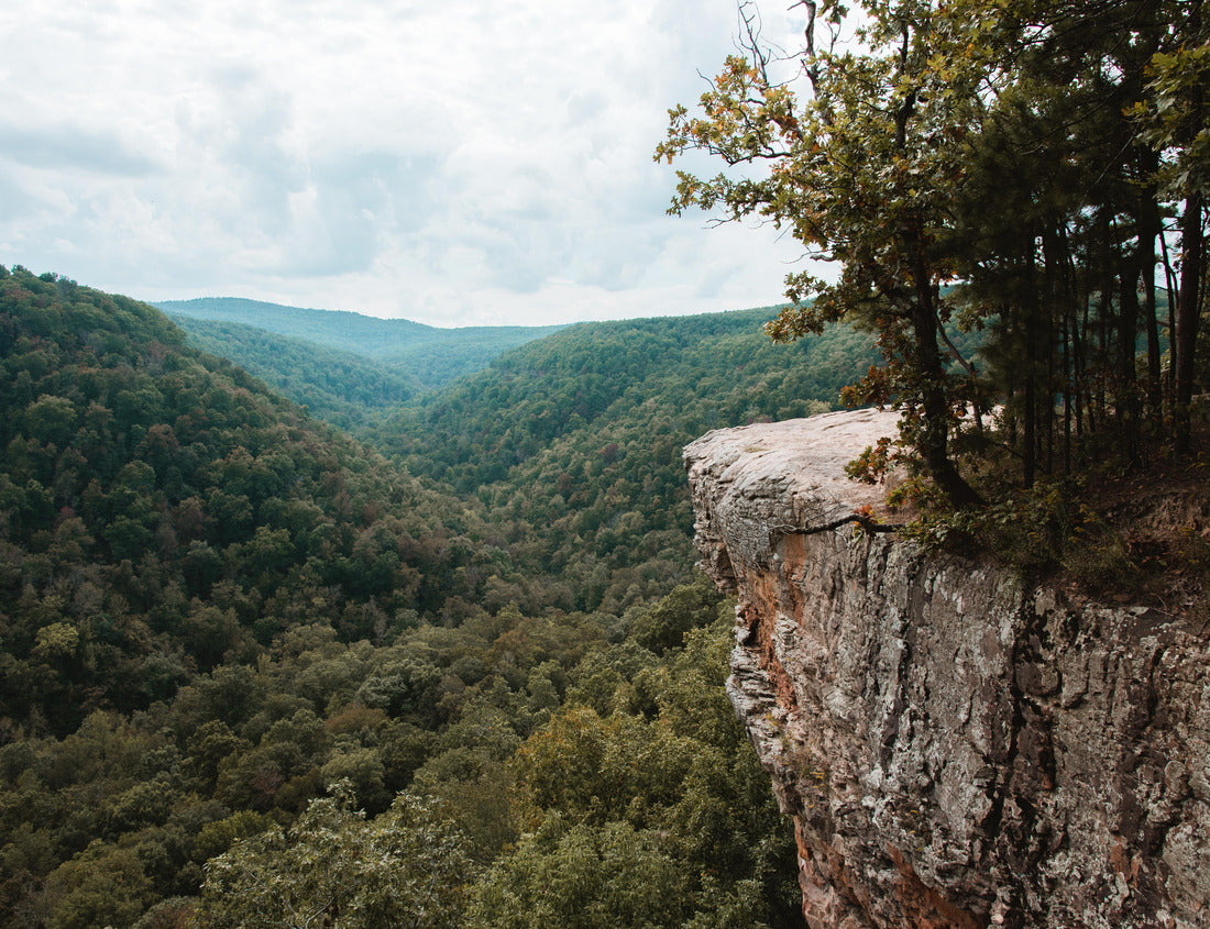 Noah Jigsaw Puzzle Bluff lines and rock formations on the Hawksbill Crag hiking trail; near Fayetteville, Arkansas 1000 Pieces