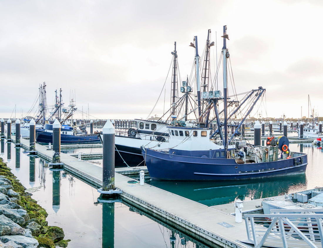 Noah Jigsaw Puzzle A harbor in Crescent City California 1000 Pieces