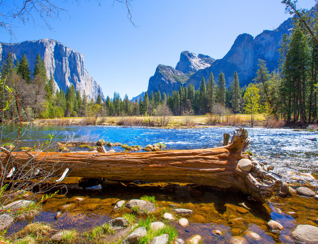 Noah Jigsaw Puzzle Yosemite Merced River el Capitan and Half Dome in California National Parks USA 1000 Pieces