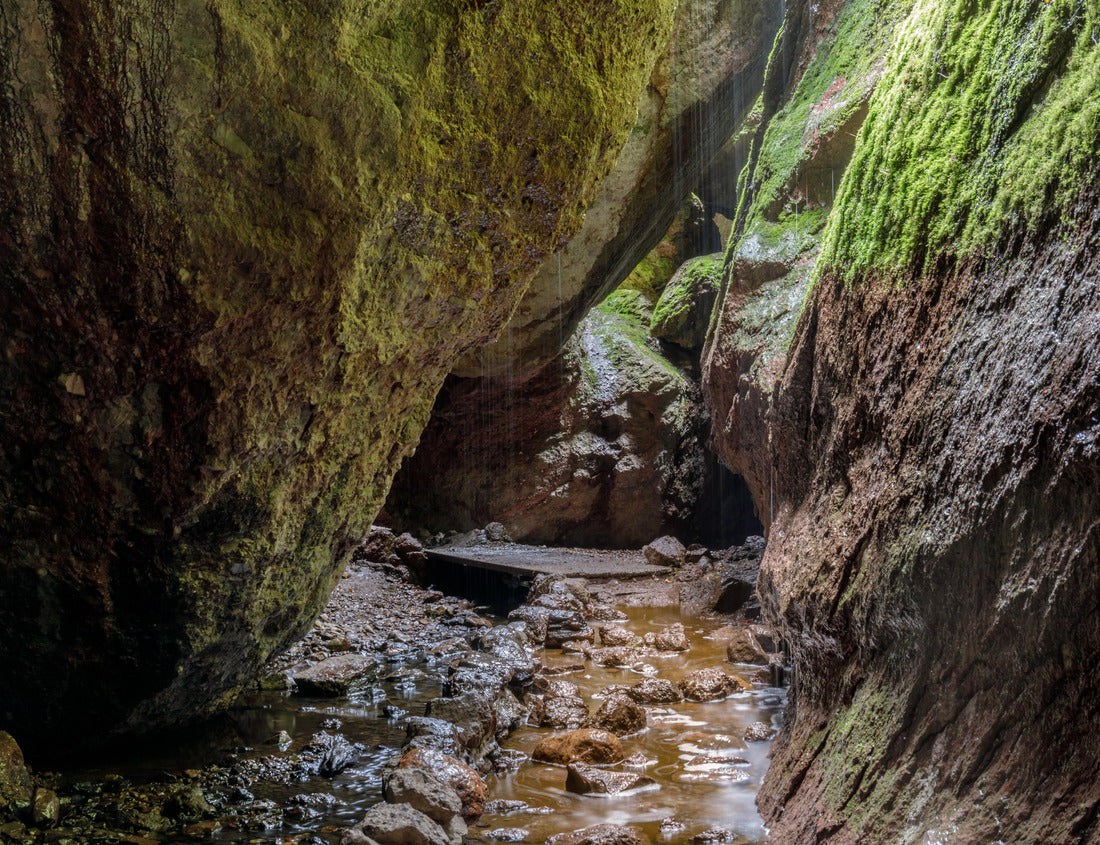 Noah Jigsaw Puzzle Bear Gulch lower cave on a rainy day. Pinnacles National Park, San Benito County, California, USA 1000 Pieces