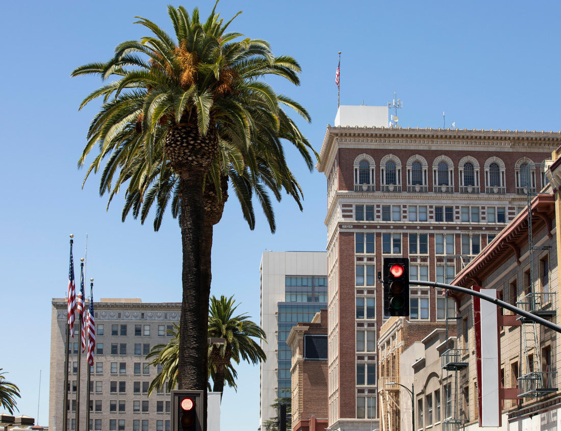 Noah Jigsaw Puzzle Daytime view of the city center of Stockton, California, USA 1000 Pieces