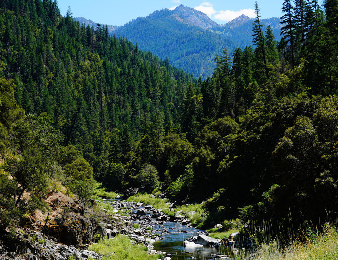 Noah Jigsaw Puzzle Beautiful Scott River with views of the Marble Mountains. The Scott River is located in Siskiyou County California 1000 Pieces