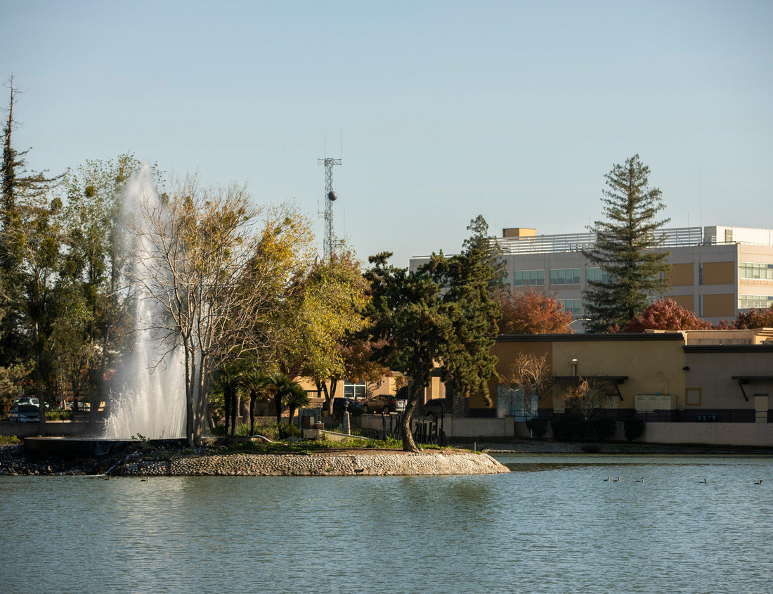 Noah Jigsaw Puzzle Afternoon view of a lake and downtown Marysville, California, USA 1000 Pieces