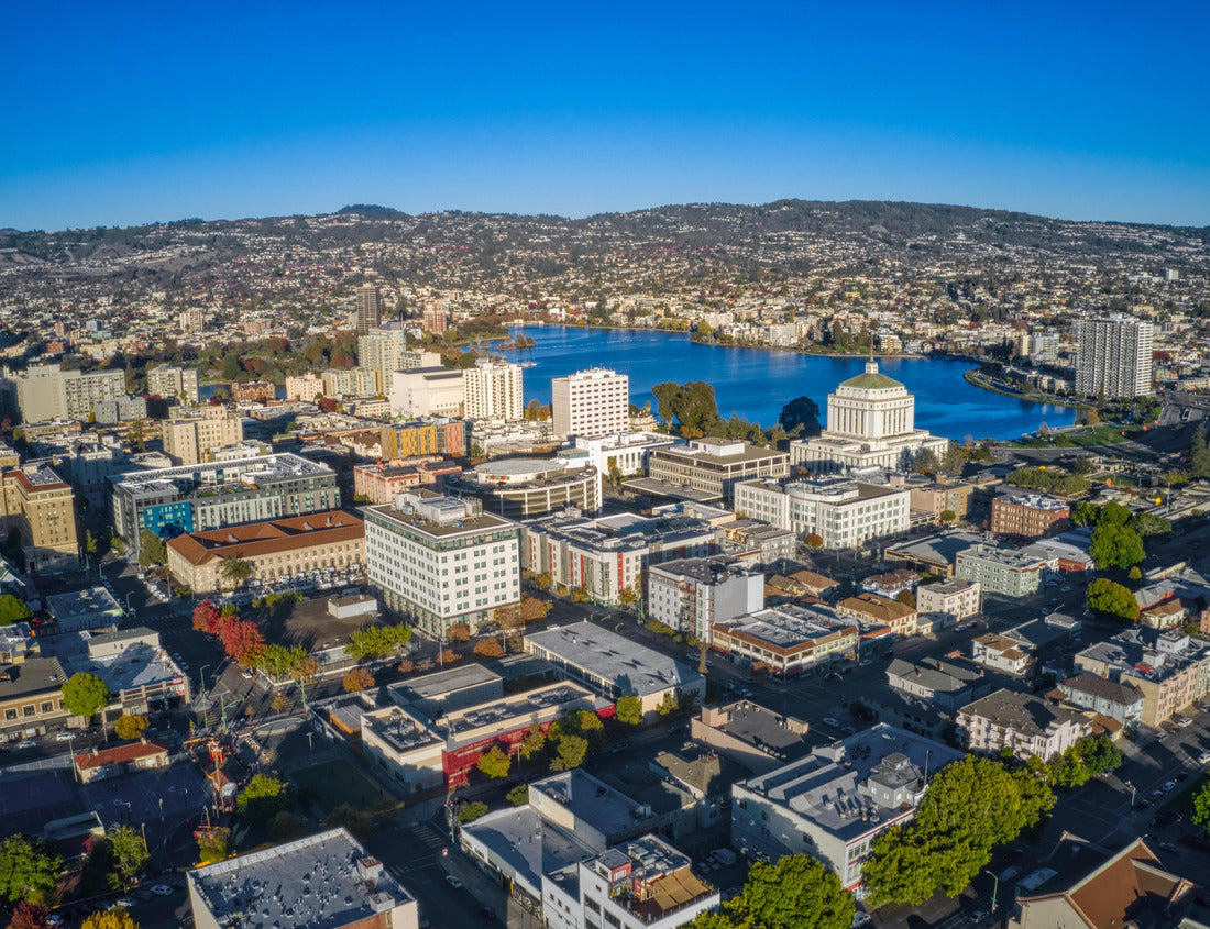 Noah Jigsaw Puzzle Aerial view in fall in Oakland, California 1000 Pieces