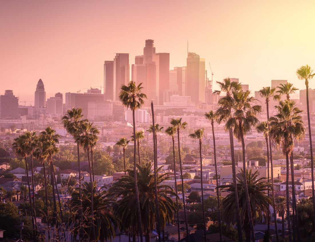 Noah Jigsaw Puzzle Beautiful sunset of Los Angeles skyline in the city center and palm trees in the foreground 1000 Pieces