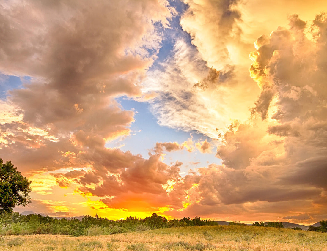 Noah Jigsaw Puzzle A beautiful epic sunset with blue sky behind the colorful majestic clouds. A scenic landscape looking west to the Colorado Rocky Mountains in Boulder County where the sky meets the land 1000 Pieces