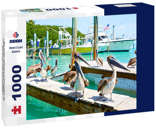 Noah Jigsaw Puzzle Big brown pelicans in the harbor of Islamorada, Florida Keys. Waiting for fish in the marina of Robbie 1000 Pieces