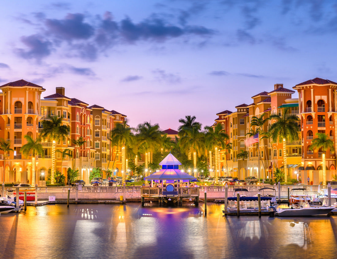 Noah Jigsaw Puzzle Naples, Florida, USA Skyline in the city center at sunset 1000 Pieces