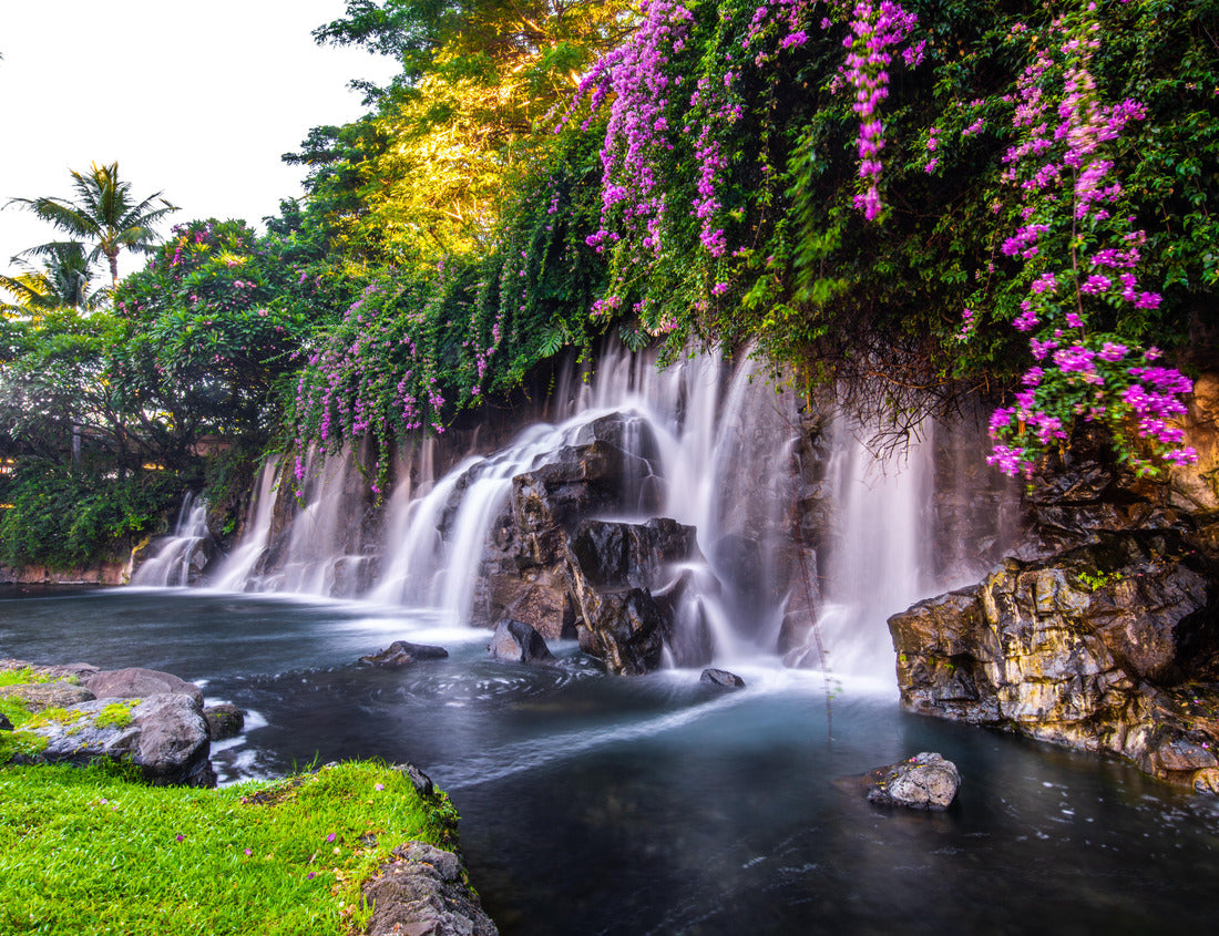 Noah Jigsaw Puzzle A beautiful waterfall in Hawaii 1000 Pieces
