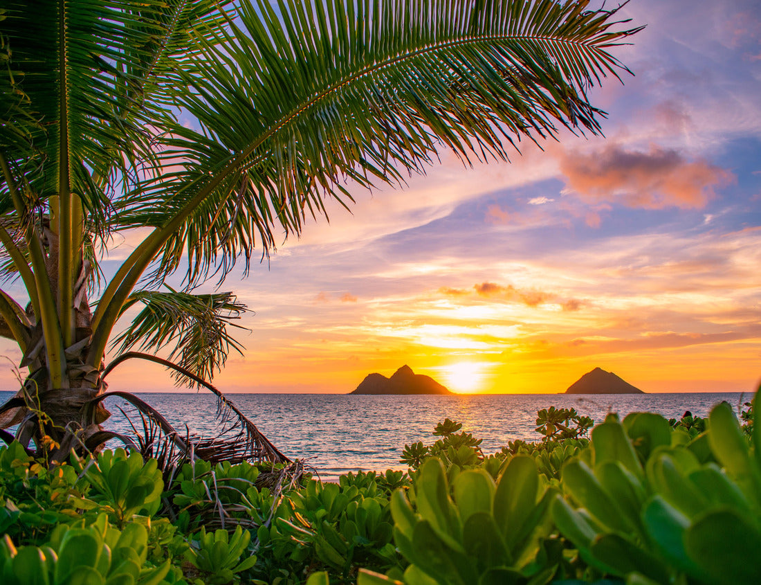 Noah Jigsaw Puzzle A beautiful tropical sunrise over Lanikai Beach in Kailua, Oahu, Hawaii 1000 Pieces