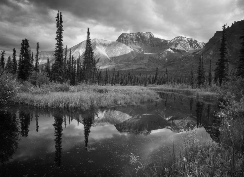 A forest pond reflects the mountains in Wrangell St. Elias National Park, Alaska in black white