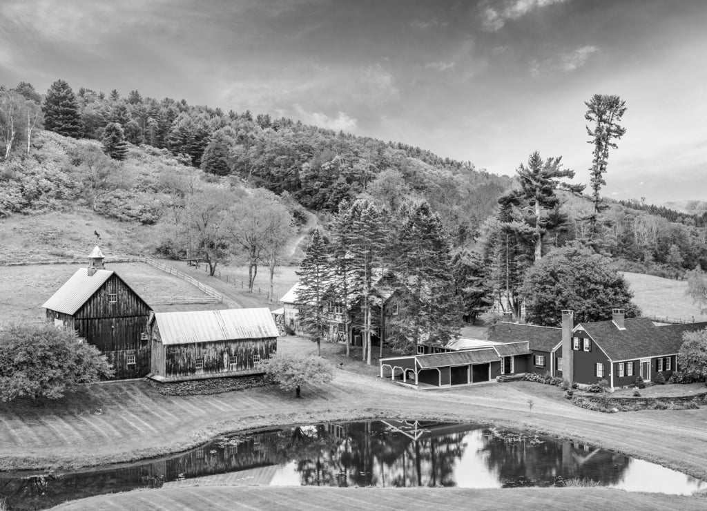 Rural Autumn Vermont in black white