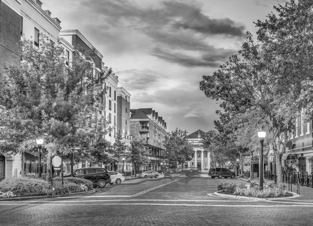 Gainesville, Florida, USA downtown cityscape in black white