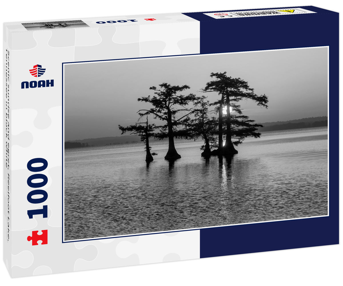 Scenic sunrise and egret, Reelfoot Lake, Tennessee in black white