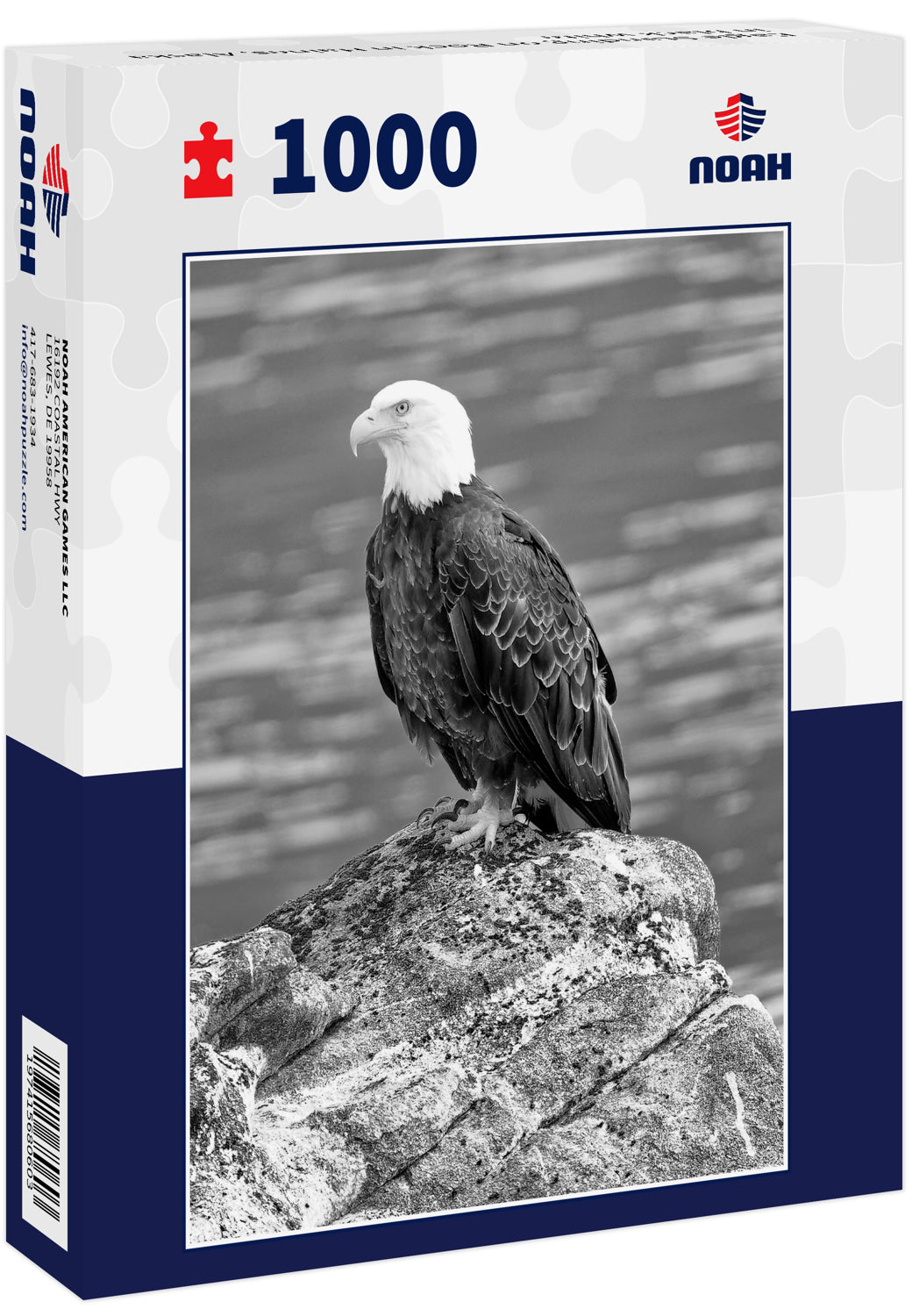 Eagle Standing on Rock in Haines, Alaska in black white