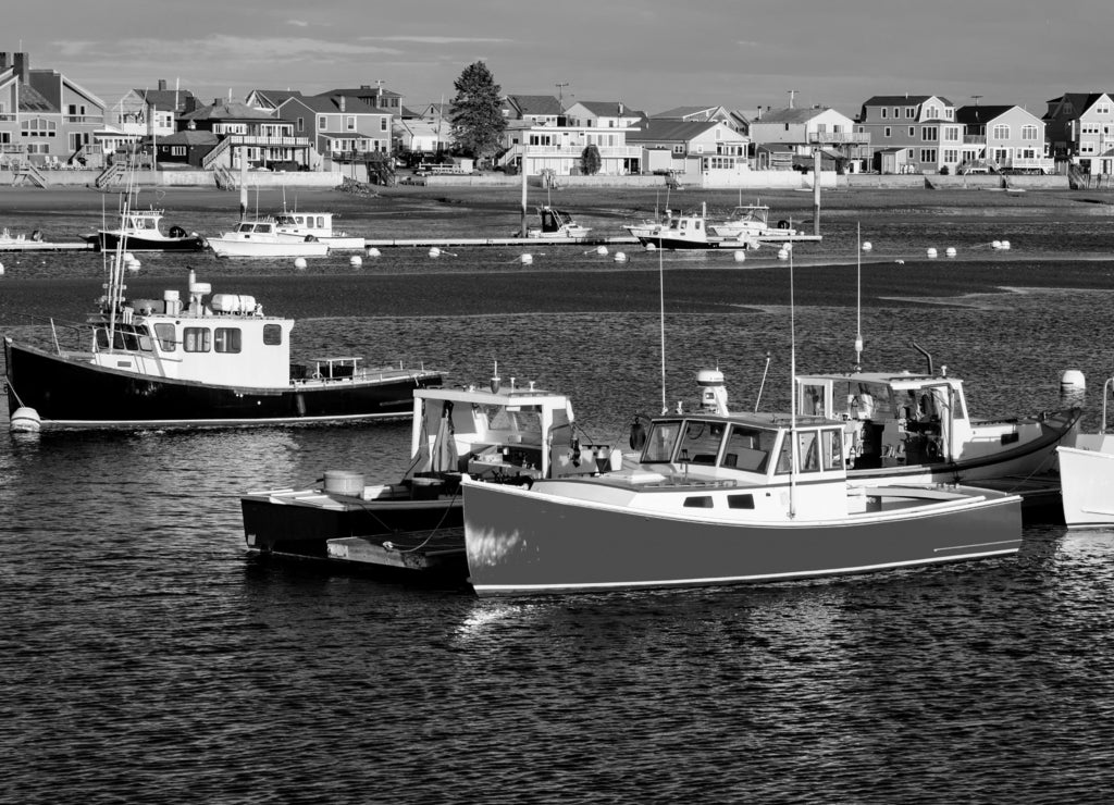 Lobster Fleet, Wells Harbor Maine in black white