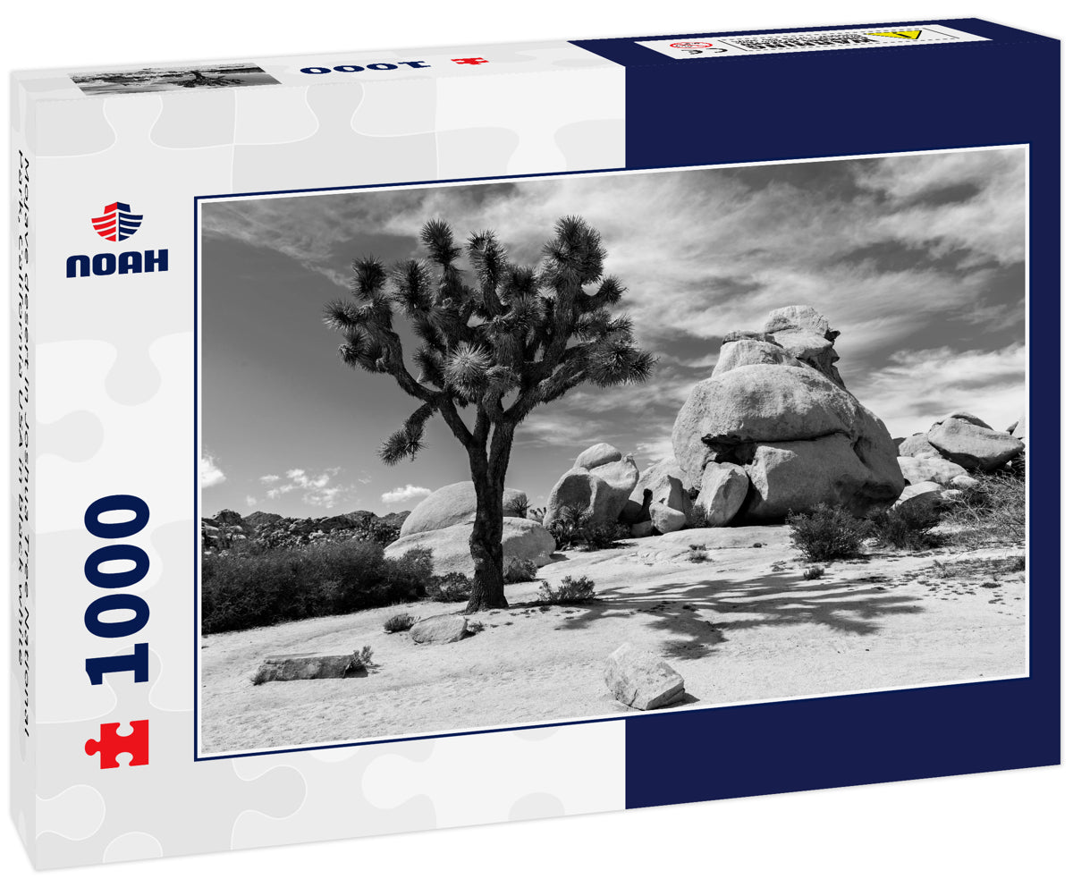 Mojave desert in Joshua Tree National Park, California USA in black white