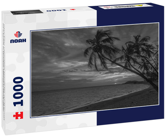 Palm trees silhouetted against the sky at sunset on a beach in Molokai, Hawaii in black white