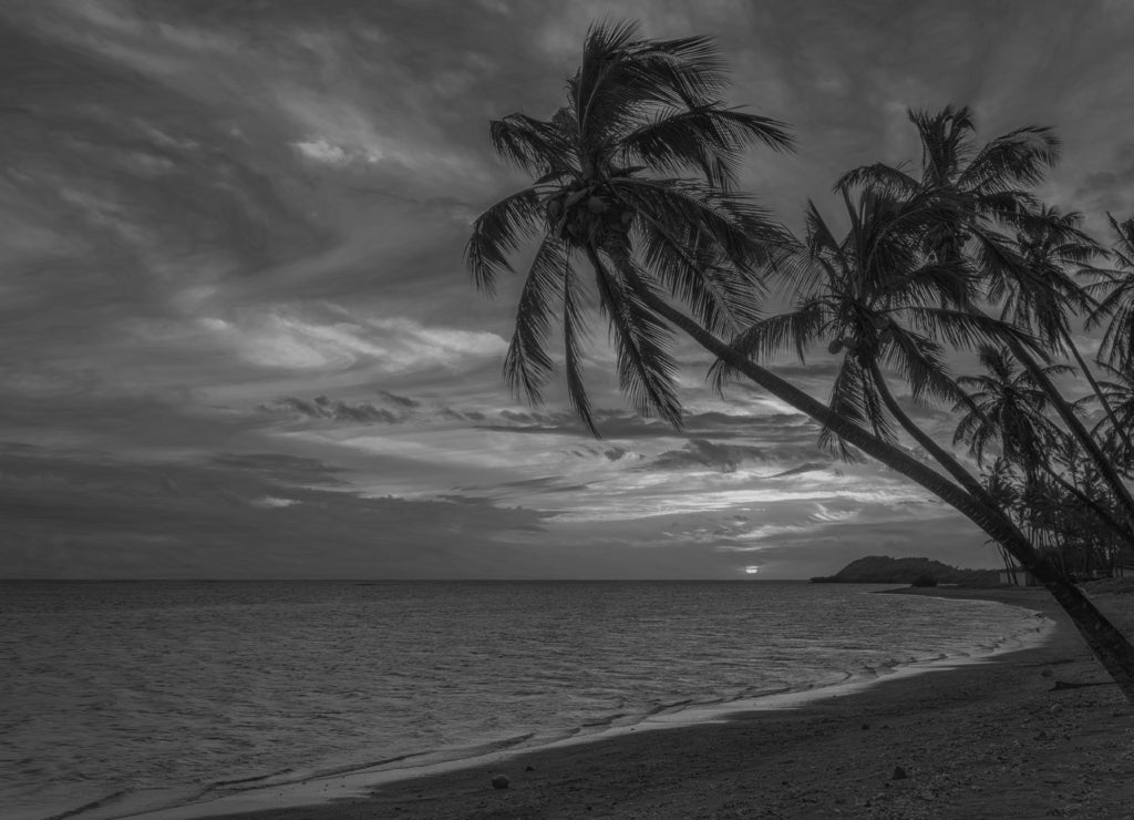 Palm trees silhouetted against the sky at sunset on a beach in Molokai, Hawaii in black white