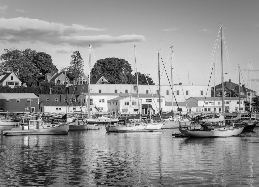 Anchored fishing and sailing boats at Camden harbour, Penobscot Bay, Maine USA in black white