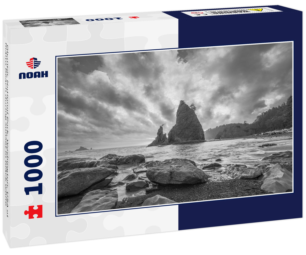 Olympic National Park, Washington, USA at Rialto Beach during sunset in black white