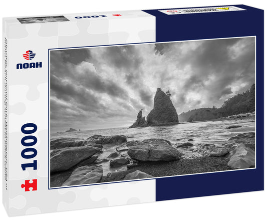 Olympic National Park, Washington, USA at Rialto Beach during sunset in black white