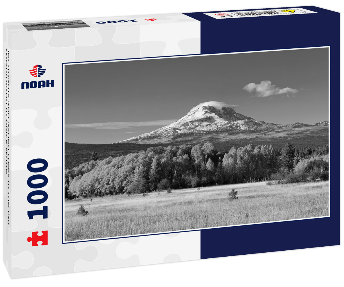 Mt Adams and aspen trees in the fall, Washington in black white
